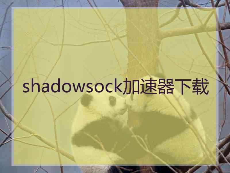 shadowsock加速器下载