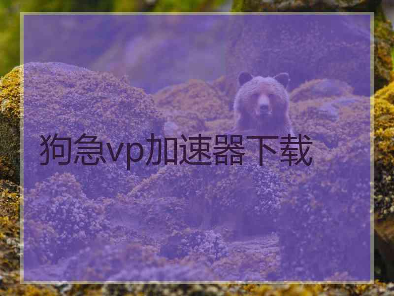 狗急vp加速器下载