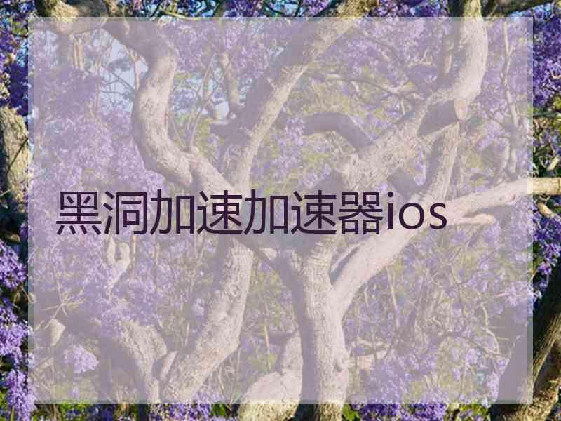 黑洞加速加速器ios