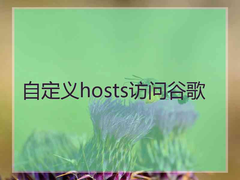 自定义hosts访问谷歌