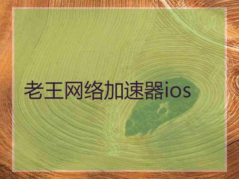 老王网络加速器ios