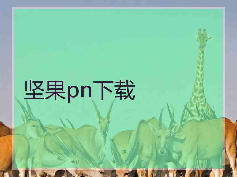 坚果pn下载