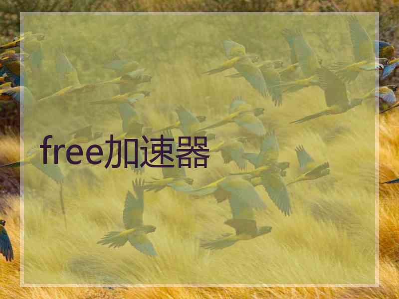 free加速器