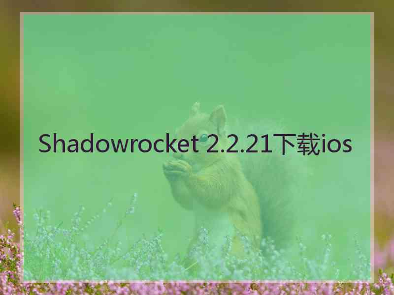 Shadowrocket 2.2.21下载ios