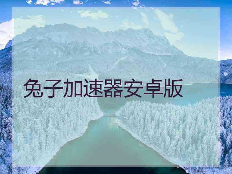 兔子加速器安卓版