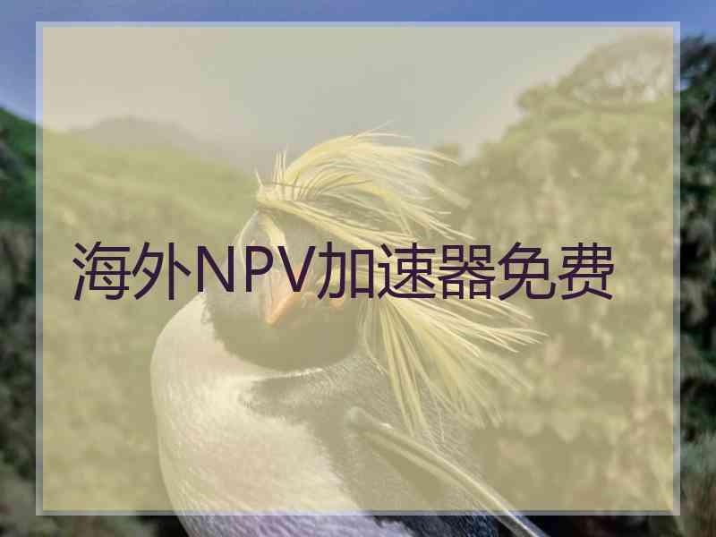 海外NPV加速器免费