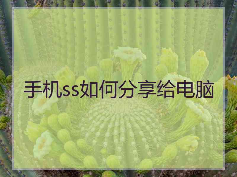 手机ss如何分享给电脑