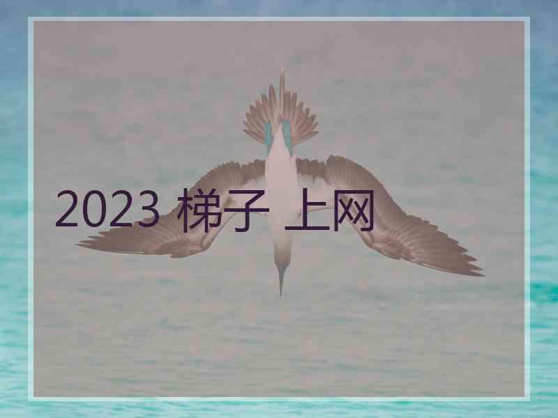 2023 梯子 上网