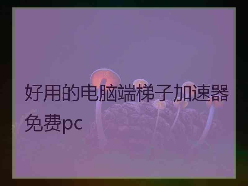 好用的电脑端梯子加速器免费pc