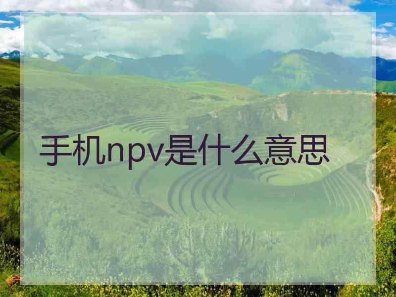 手机npv是什么意思