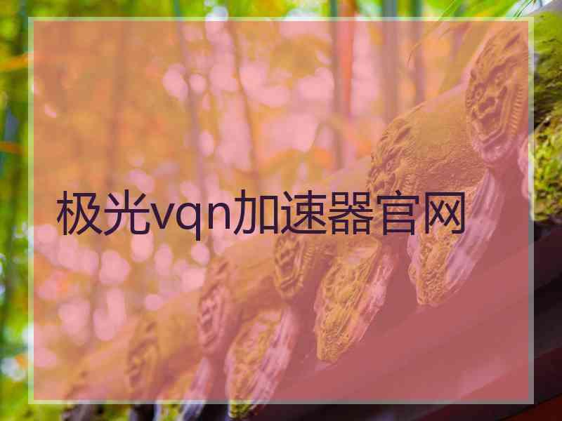 极光vqn加速器官网