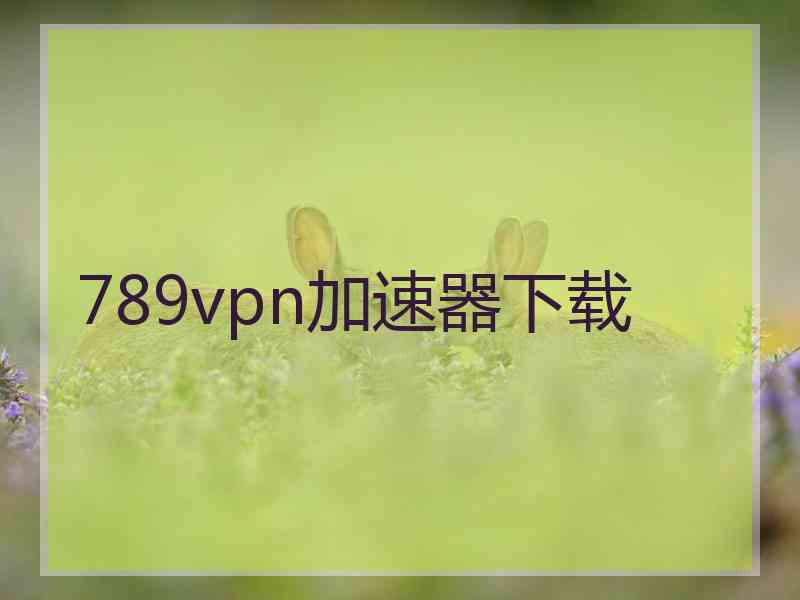 789vpn加速器下载