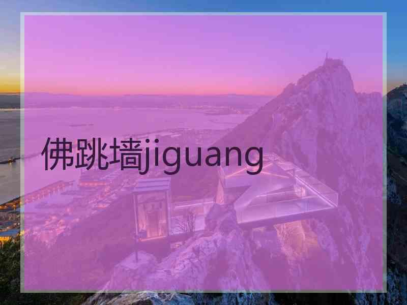 佛跳墙jiguang