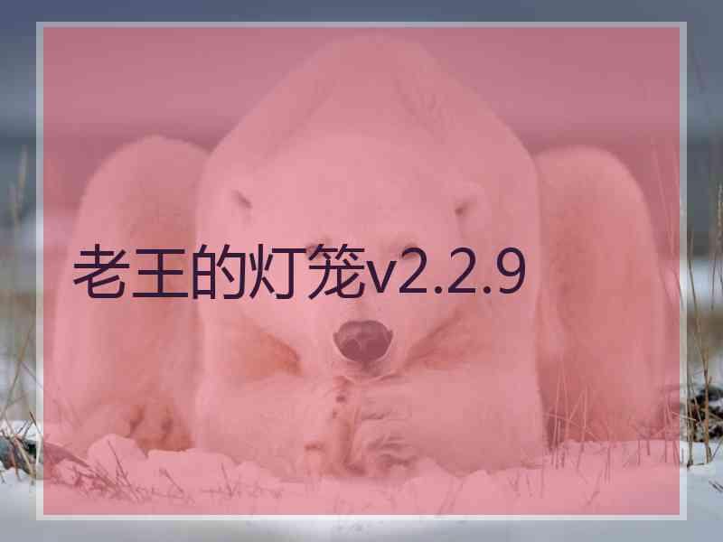 老王的灯笼v2.2.9