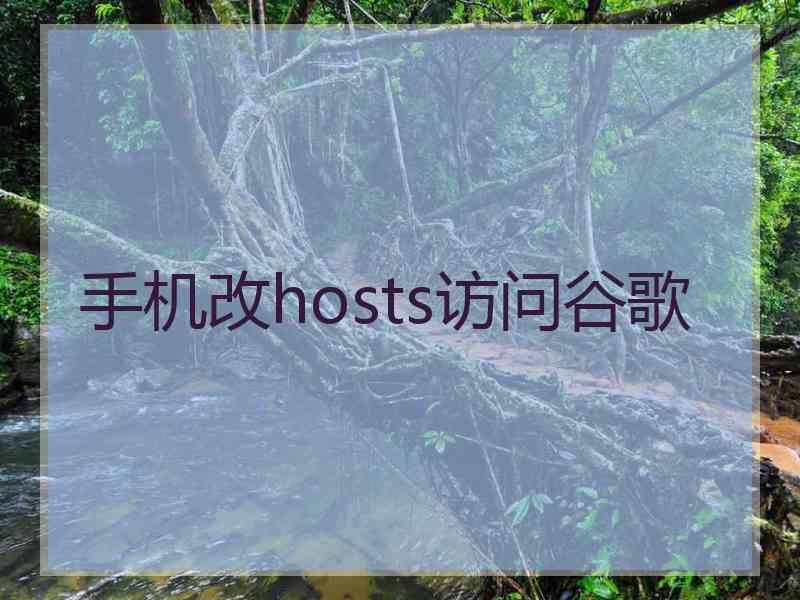 手机改hosts访问谷歌