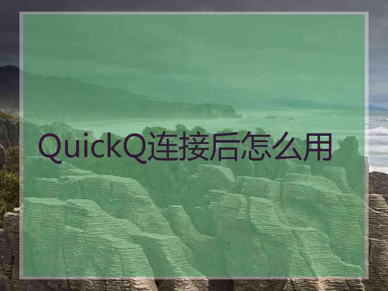 QuickQ连接后怎么用