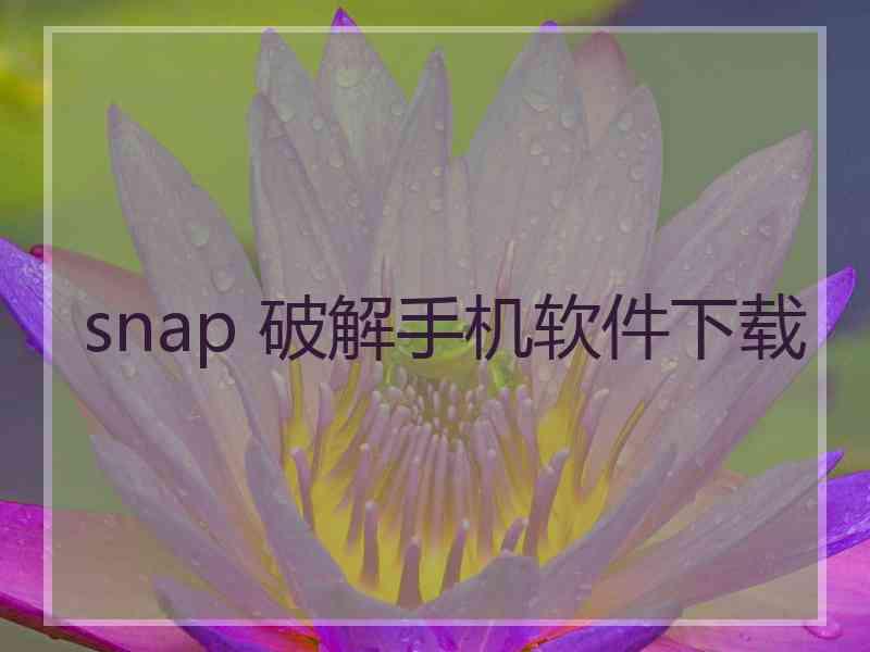 snap 破解手机软件下载