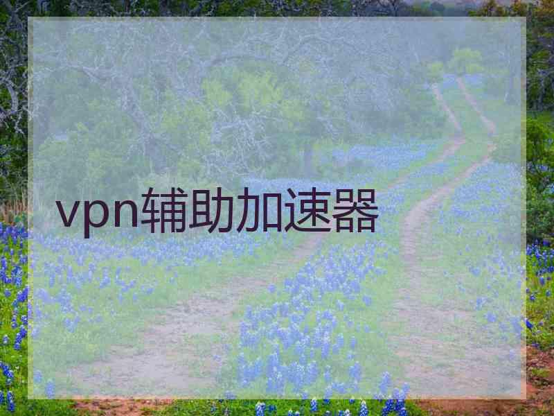 vpn辅助加速器