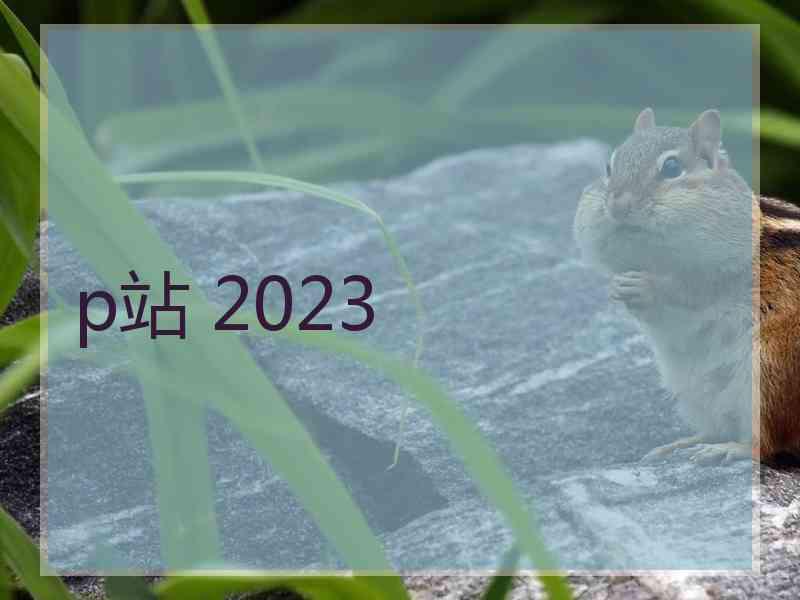 p站 2023