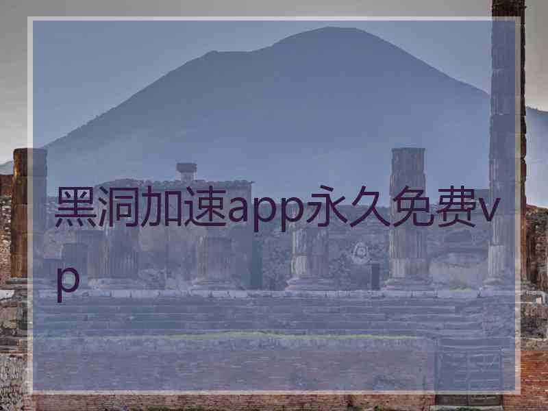 黑洞加速app永久免费vp