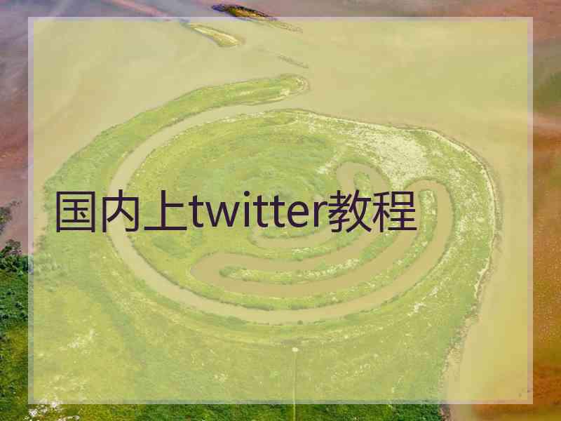 国内上twitter教程