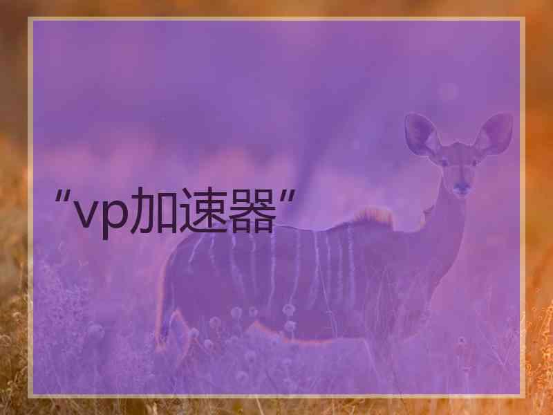 “vp加速器”