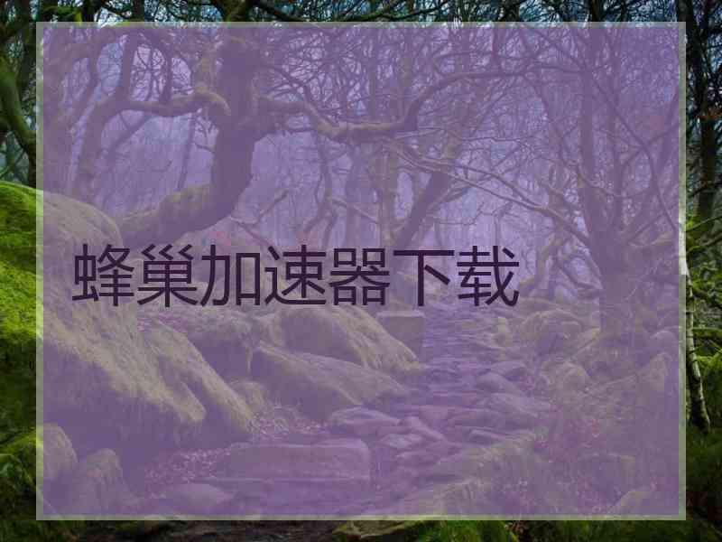 蜂巢加速器下载