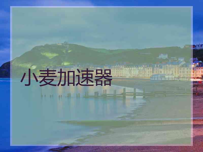 小麦加速器