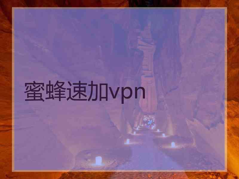 蜜蜂速加vpn