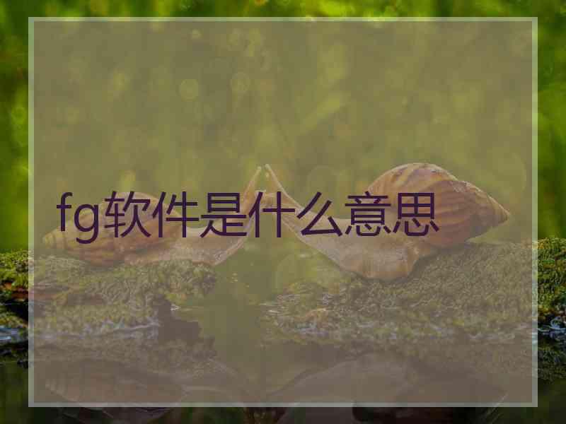 fg软件是什么意思