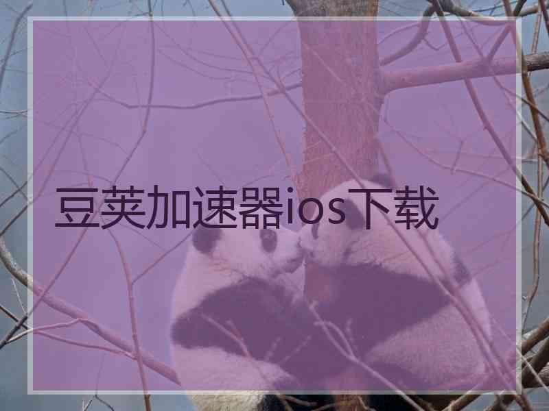 豆荚加速器ios下载