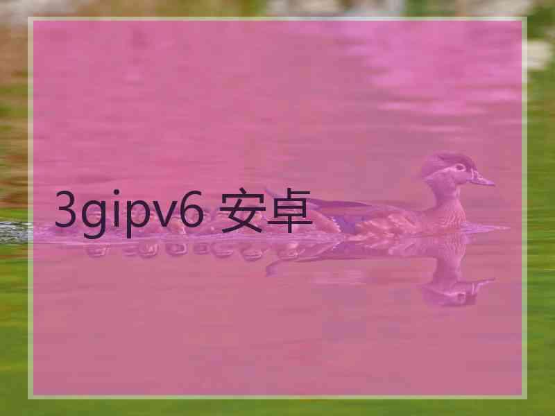 3gipv6 安卓