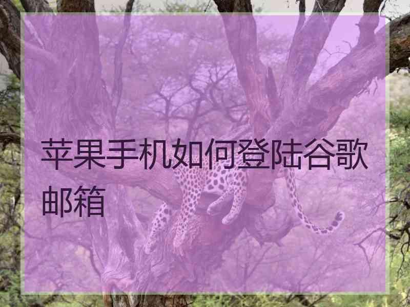 苹果手机如何登陆谷歌邮箱