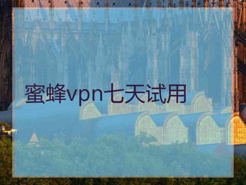 蜜蜂vpn七天试用