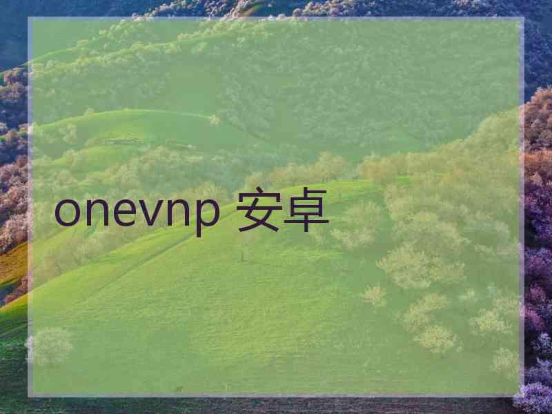 onevnp 安卓