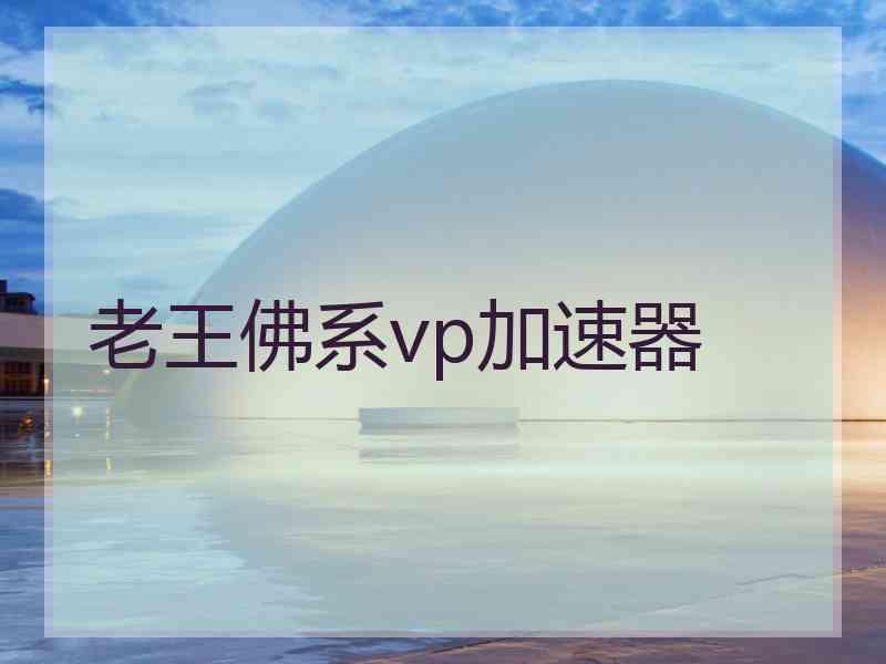 老王佛系vp加速器