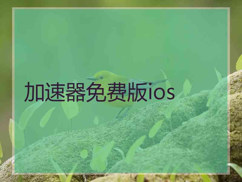 加速器免费版ios