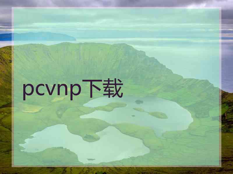 pcvnp下载