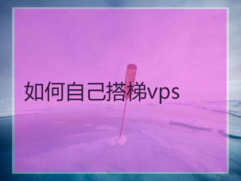 如何自己搭梯vps