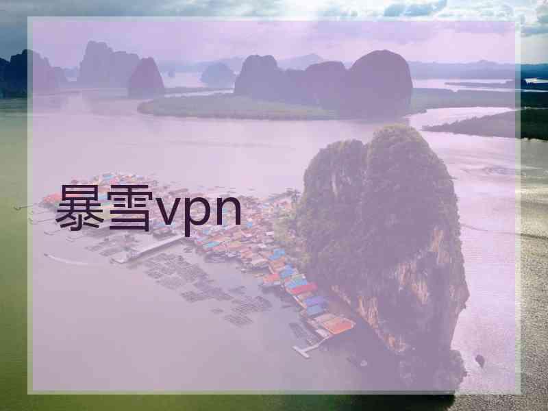 暴雪vpn