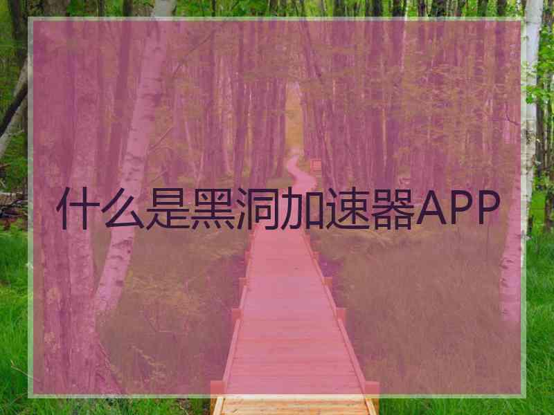 什么是黑洞加速器APP