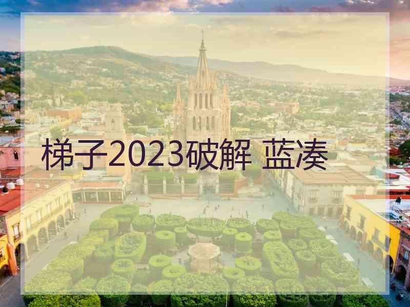 梯子2023破解 蓝凑