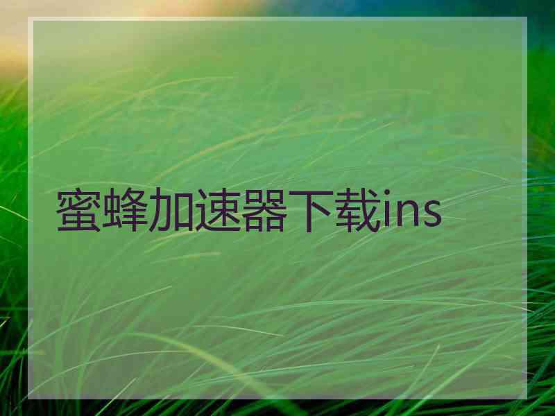 蜜蜂加速器下载ins