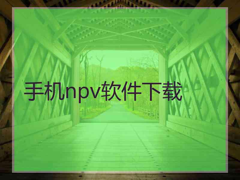 手机npv软件下载