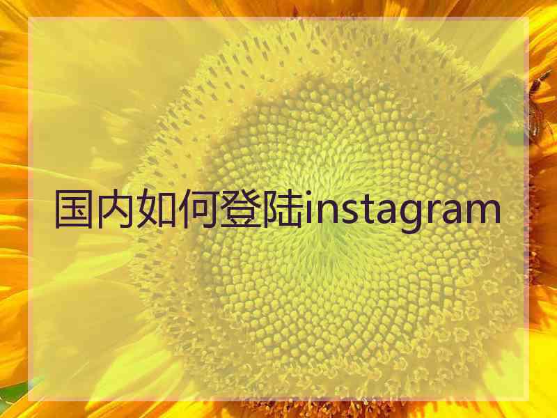 国内如何登陆instagram