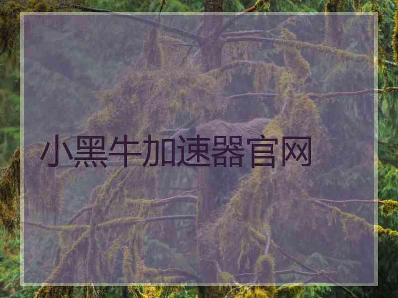 小黑牛加速器官网