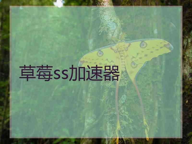 草莓ss加速器