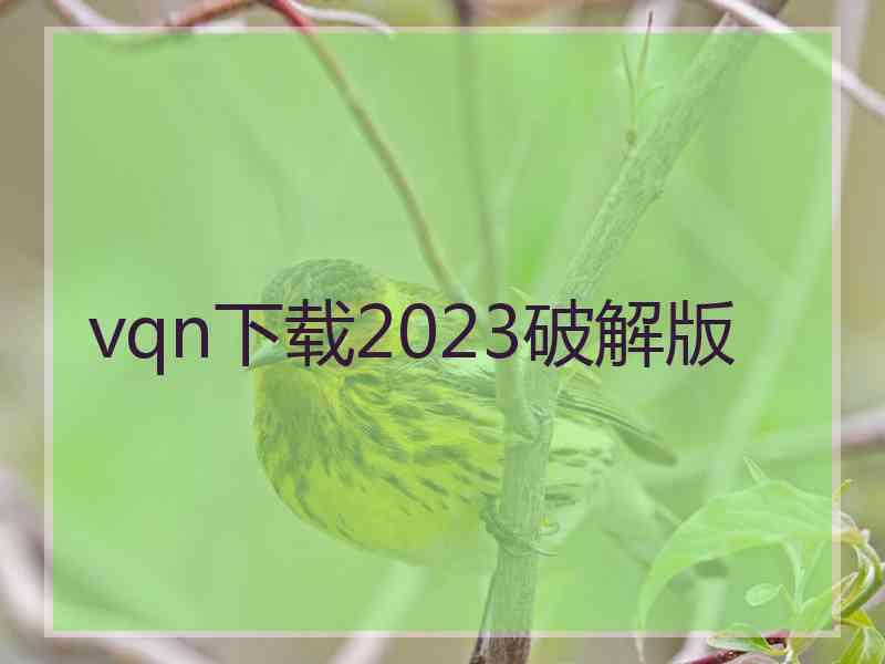 vqn下载2023破解版