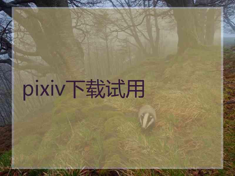 pixiv下载试用