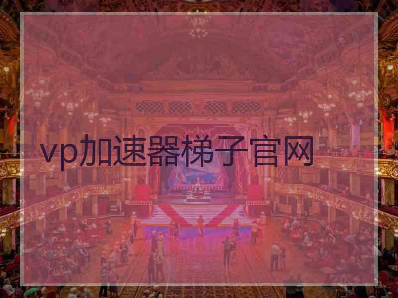 vp加速器梯子官网